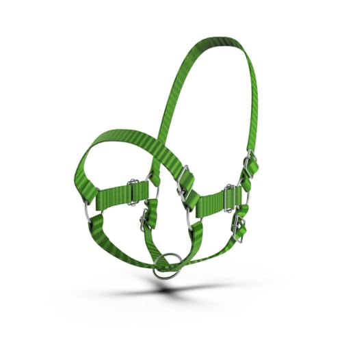 HADZAM Adjustable Nylon Cow Halter | Calf Halter one Halter for (1 Year to Full Size) Easy Adjustable Straps elimates the Need of Ill-Fitting Cattle Halter - color: BLUE