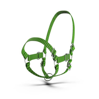 HADZAM Adjustable Nylon Cow Halter | Calf Halter one Halter for (1 Year to Full Size) Easy Adjustable Straps elimates the Need of Ill-Fitting Cattle Halter - color: BLUE