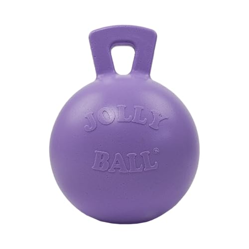 Jolly Pets Tug-n-Toss Heavy Duty Dog Toy Ball with Handle, 10 Inches/X-Large, Light Purple - color: Light Purple, size: XL (10 in)