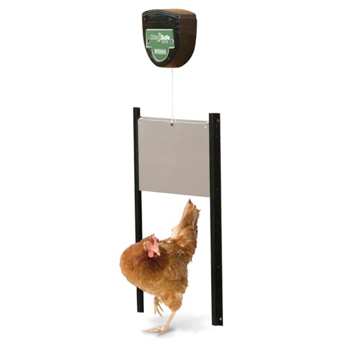 Brinsea ChickSafe Eco Automatic Chicken Coop Door Opener and Door Kit for Hen House with Adjustable Light Sensor, Safety Sensor, Space Saving 2-Stage Aluminum Door - style: Light Sensor