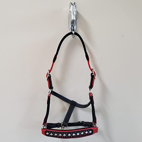 Darlington Luxury Leather Horse Show Halter in Premium Bridle Leather with Soft Suede Leather Padding and Fancy Western Design - color: Red/Black