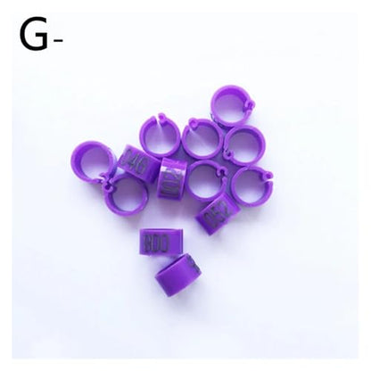 200 Pcs Birds Feet Clip Rings Inner Diameter 8mm Width 5mm 100Pcs Plastic Ring Pigeon Quail Foot Animal(G) - color: G