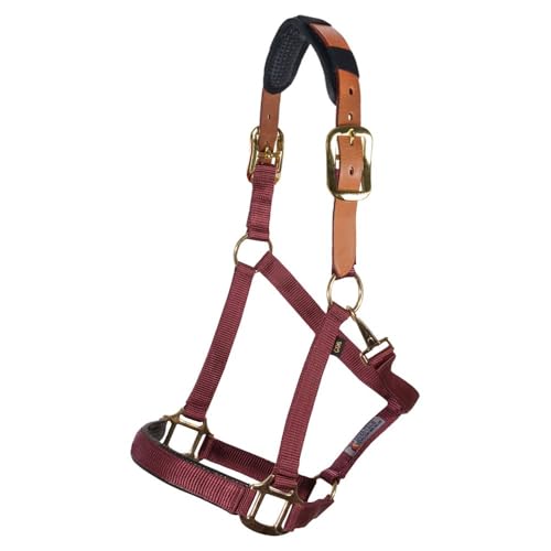 Schneiders Dura-Tech Comfort Plus Nylon Breakaway Halter for Horses | Padded Nose & Crown | Breakaway Leather Crown | Throat Snap | Adjustable Fit for All-Day Comfort - color: Burgundy, size: Cob