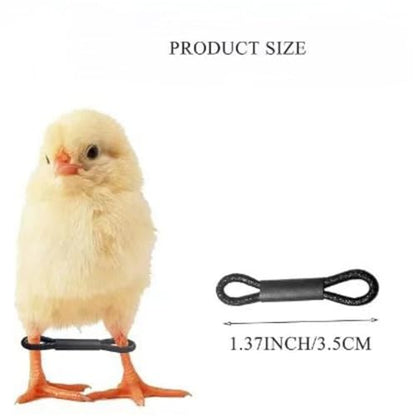 Chicken Leg Bands 500 Pcs Baby Chicken Splay Leg Hobble Brace Adjustable Poultry Bands for Newborn Spraddle Chick Bird Quails Ducks