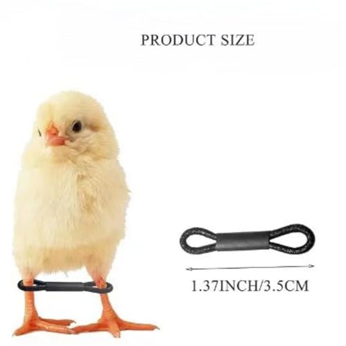 Chicken Leg Bands 500 Pcs Baby Chicken Splay Leg Hobble Brace Adjustable Poultry Bands for Newborn Spraddle Chick Bird Quails Ducks
