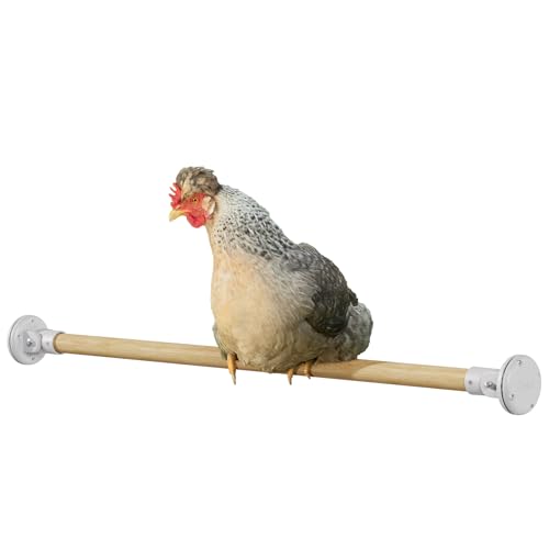 Omlet Chicken Perch | Eucalyptus Wood Roosting Bar for Poultry Runs | Weather-Resistant Outdoor Chicken Perch with Innovative Bracket Design | Fun and Durable Hen Accessory | 3ft - size: 3ft