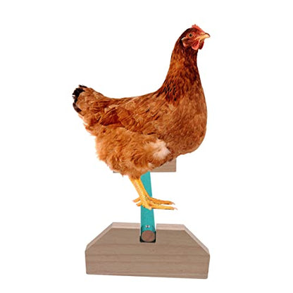 BESPORTBLE Chick Wooden Stick Chicken Roosting Perch Bird Stand Parrot Perch Chicken Supplies Safe Comfortable Roost