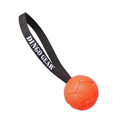 Dingo Gear Dog Ball and Pump Set, Faux Leather, Orange 3in - color: Orange Ball+Pump, size: 3"