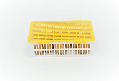 Hatching Time Egg Hatching Basket, Fits Hatching Time CT Series Incubators, Divided Hatch Outs, Separate Breeds When Hatching, Fits 15 Chicken Eggs, Fits Any Egg Size - style: 15 Chicken Eggs