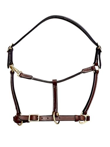 Leaders Handmade Leather Horse Halter - Heavy Duty Everyday Turnout Halter, 3/4" Wide Naturally Vegetable Tanned Leather, Solid Brass Hardware, Hand & Machine Stitched - size: Horse