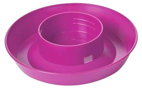 Little Giant® Screw-On Poultry Waterer Base | Heavy Duty Plastic Water Tray Base for Container | Chicken Waterer Screw on Base (Hot Pink, 1 Count) - color: Hot Pink