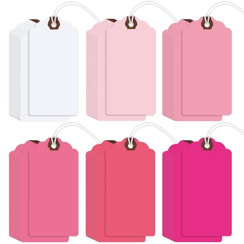 Outus 60 Pcs 4 3/4-in x 2 3/8-in Blank Large Paper Gift Tags with String and Reinforced Eyelet Wire Writable Price Tags Shipping Labels Inventory Labels(Gradient Pink) - color: Gradient Pink