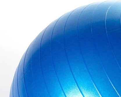 Race&Herd 30" Inner Tube for Herding Ball for Dogs Large - Replacement Herd Balls for Dogs Toys Bladder, Inflatable Liner Herding Ball for Australian Shepherd, Hearding Balls Inner Shell Only - size: 30" Replacement Inner Ball