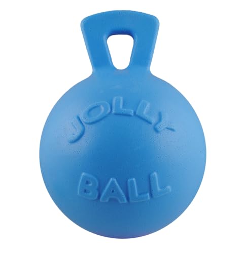 Jolly Pets Tug-n-Toss Heavy Duty Dog Toy Ball with Handle, 10 Inches/X-Large, Blueberry for All Breed Sizes - color: Blueberry, size: XL (10 in)