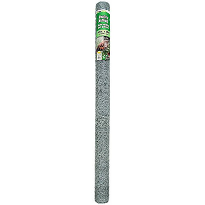 YARDGARD 1 Inch Poultry Netting, Chicken Wire Fence, 20 Gauge Galvanized Steel, Rabbit Fencing, Bird Enclosures, Garden Protection and Plant Support, 48 Inches x 25 Feet - size: 48 Inches x 25 Feet