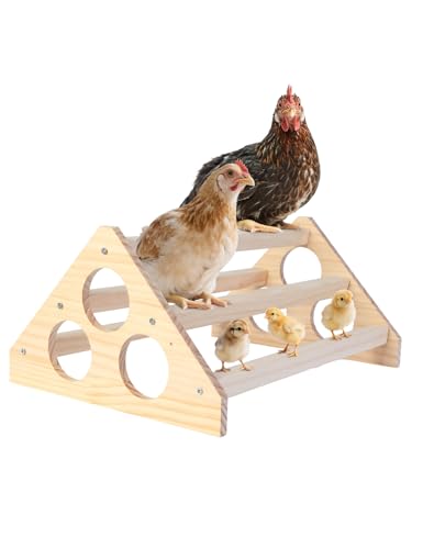 Wooden Chick Perch, Chick Stand Training Perch, Wood Chicken Roosting Bar for Entertainment, Strong Chick Jungle Gym Roosting Bar, Strong Wooden Chicken Roosting Bar, Easy to Assemble and Clean（Big）