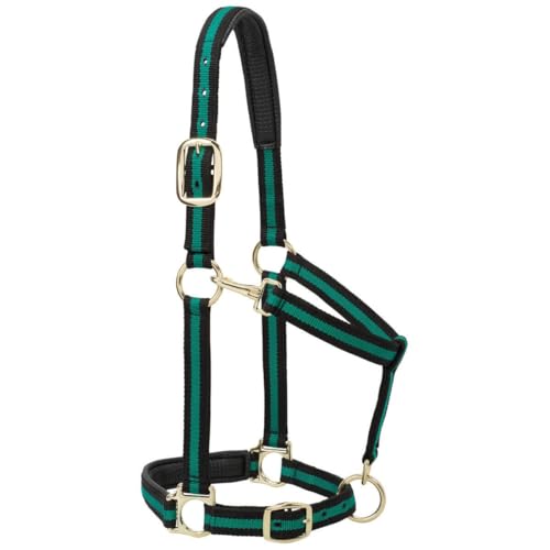 Weaver Leather Nylon Horse Halter, Padded and Adjustable, Chin and Throat Snap Hook Halters for Horses, Brass Plated Halters for Training