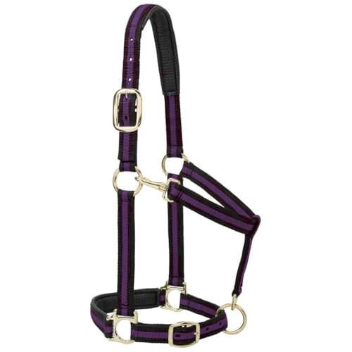 Weaver Leather Nylon Horse Halter, Padded and Adjustable, Chin and Throat Snap Hook Halters for Horses, Brass Plated Halters for Training