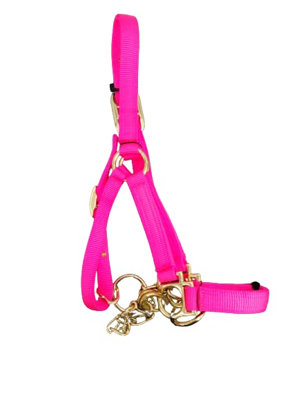 Heavy Duty Nylon Yearling Cow Halter with Control Chain - size: Royal Blue