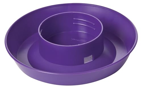Little Giant® Screw-On Poultry Waterer Base | Heavy Duty Plastic Water Tray Base for Container | Chicken Waterer Screw on Base (Purple, 1 Count) - color: Purple