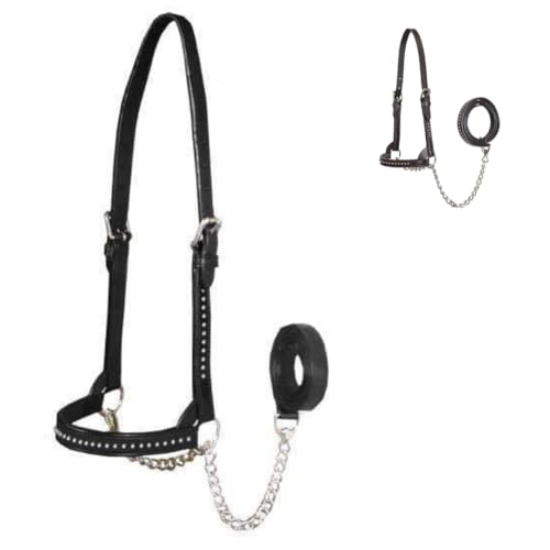 Derby Originals New and Improved Premium Show Spotted Flat Leather Cattle Show Halter with Matching Chain Lead - color: Black, size: Medium (650-1050lbs)