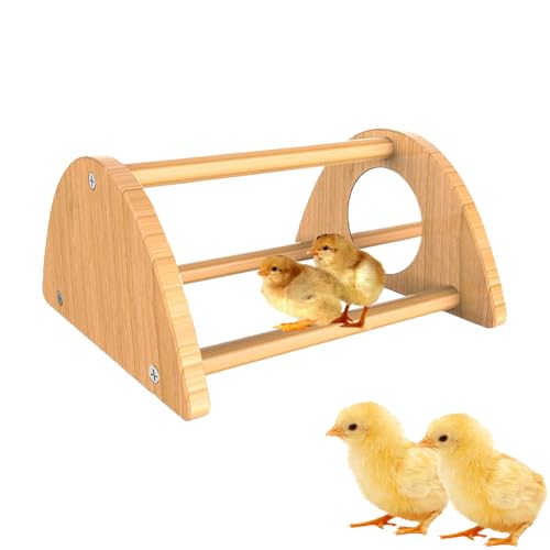 Chick Perch - Mini Wood Roosting Bar with Mirror for Chickens, Interactive Rooster Training Toy and Chicken Play Accessory for Coop, Encouraging Exercise, Balance, Socialization, and Engagement