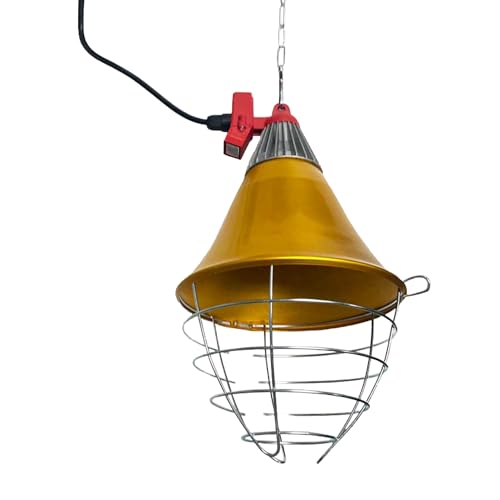 Stromberg's Heat Lamp with Safety Switch, Stainless Steel, Chicken Coop, Reptiles, Piglets, Infrared Light, Baby Lambs, Baby Goats, Newborn Livestock, Puppies, 250W, 6.5 Foot Cord