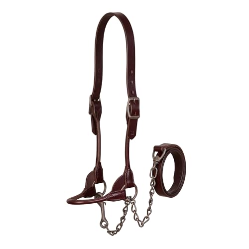 Weaver Leather Livestock Bombshell Show Halter, Brown, Large