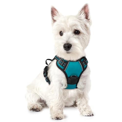 rabbitgoo Dog Harness No Pull with 2 Leash Clips, Adjustable Soft Padded, Reflective Oxford No Choke Pet Vest with Easy Control Handle for Puppy, Teal, XS - color: Teal, size: X-Small