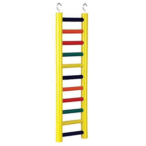 Prevue Pet Products 11-Rung Wood Bird Ladder - Accessories for All Pet Bird Sizes, Hanging Birdcage Toy for Climbing, Foot Exercise, Beak Use, Mental Enrichment, and Interactive Play - size: 11-rung
