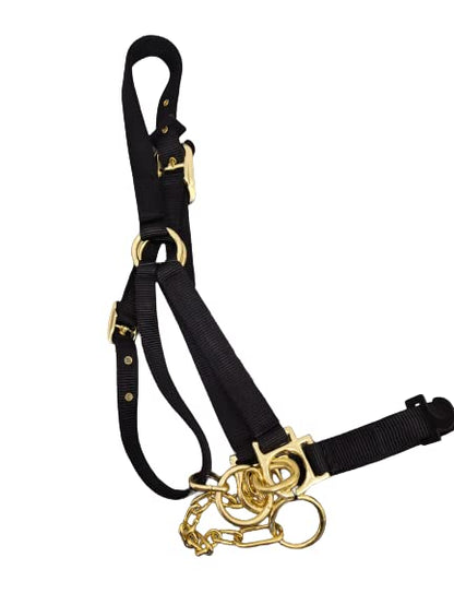 Heavy Duty Nylon Yearling Cow Halter with Control Chain - size: Royal Blue