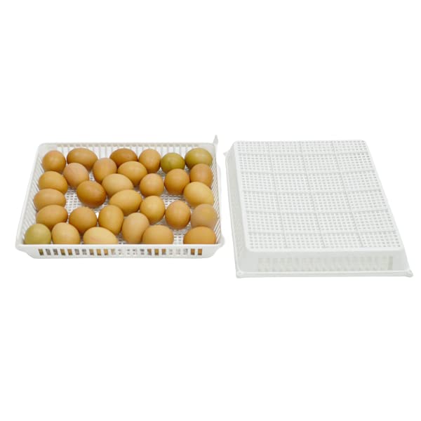 Hatching Time CT Series Incubators - Divided Chicken Egg Hatching Basket, Durable ABS Plastic, Easy to Clean