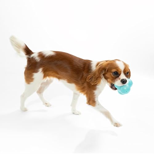 Playology Dog Toys | Squeaky Bounce Ball for Large Dogs | Peanut Butter Scented Jumbo Dog Ball for Interactive Play - style: Peanut Butter
