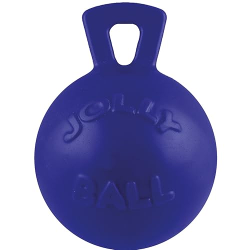 Jolly Pets Dog 10-Inch Tug-n-Toss, Blue - color: Blue, size: XL (10 in)