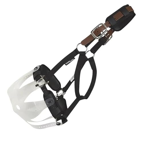 Thinline Turnout Halter for Use with Grazing Muzzle | Horse Equine Safe Comfortable Adjustable Breakaway Halter - Size Options - size: Medium Mini