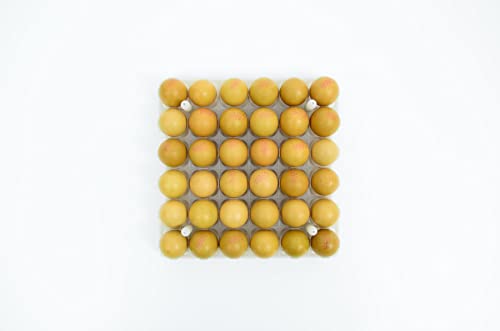 Hatching Time Egg Setter Tray (36 Chicken Eggs), Good Fit, Durable, Washable, Easy to Clean, ABS Plastic - style: 36 Egg Setter Tray - Chicken