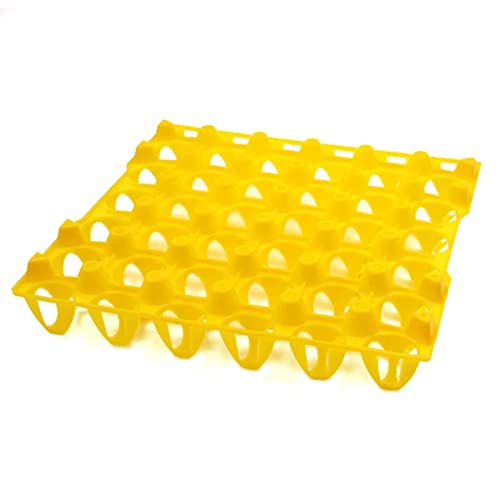 harayaa 20Pcs Egg Trays Egg Flats Transport Stackable Poultry Crate Incubator Egg Tray Chicken Egg Tray for Turkey Dove Pigeon Fridge Kitchen