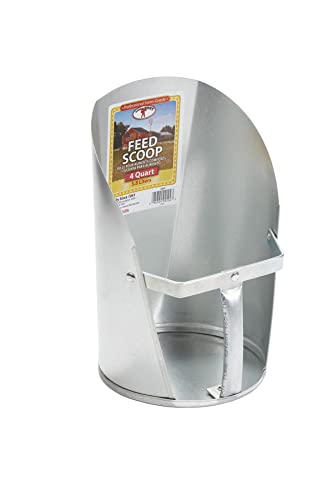 Little Giant 4-Quart Galvanized Feed Scoop - size: 4 quart