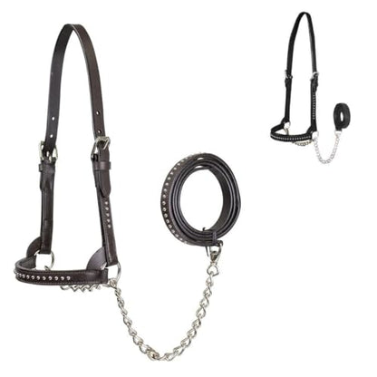 Derby Originals New and Improved Premium Show Spotted Flat Leather Cattle Show Halter with Matching Chain Lead - color: Havana, size: Medium (650-1050lbs)