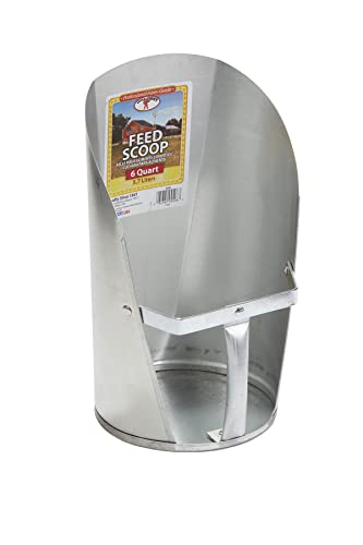 Little Giant® Galvanized Feed Scoop for Livestock | Heavy Duty Stackable Feed Scoop with Enclosed Handle (6 Quart, 1, Count) - style: 6 quart