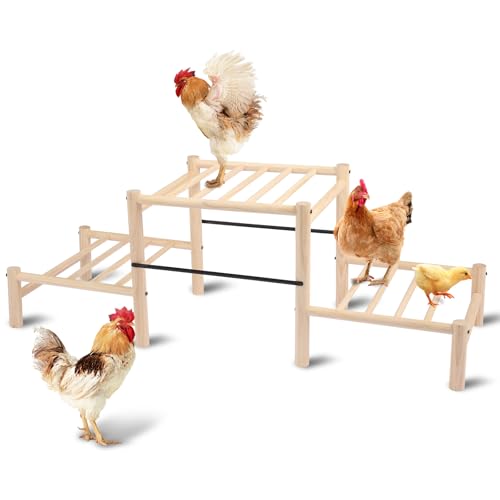Chicken Perch, Natural Beech Wood Roosting Ladder, Chick Perch for Strong Wooden Roosting Bar for Poultry, Jungle Gym & Toys.