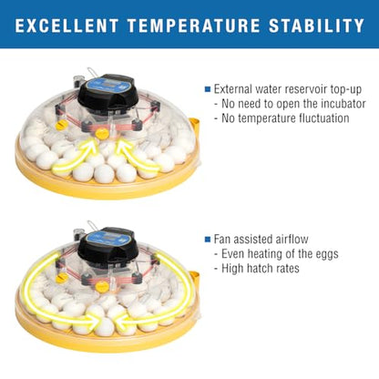 Brinsea Maxi 48 EX Egg Incubator with Automatic Humidity Control and Egg Turning for Hatching 48 Chicken, Duck, or Other Eggs, Optimal Flexibility with Mix & Match Sizes