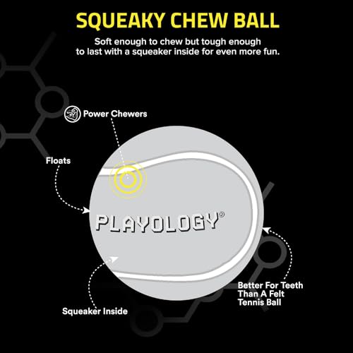 Playology Dog Toys | Squeaky Chew Ball for Dogs, Value 2-Pack | Chicken Scented Medium Dog Balls | Bouncy Floating Chew Toys for Fetch - size: Medium (VALUE 2-Pack), style: Chicken