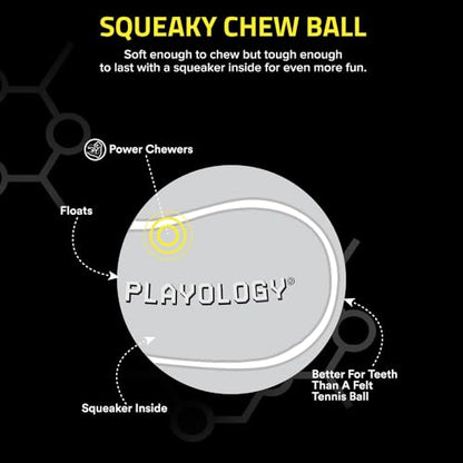 Playology Dog Toys | Squeaky Chew Ball for Dogs, Value 2-Pack | Chicken Scented Medium Dog Balls | Bouncy Floating Chew Toys for Fetch - size: Medium (VALUE 2-Pack), style: Chicken