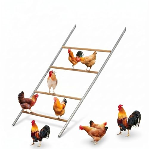 Chicken Roosting Bars for Coop, Metal Frame Chicken Perch for Outdoor Coop and Farms, Fits All Poultry & Baby Chicks, 40''L x 55''W - size: 39.4"L x 2.0"W x 55.1"H