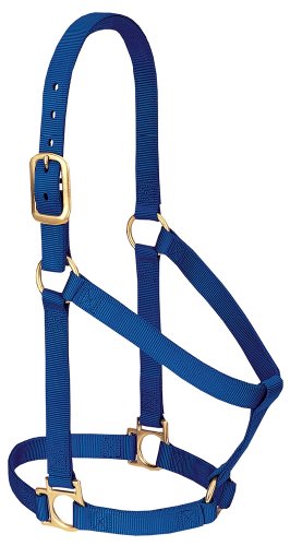 Weaver Equine Nylon Horse Halter, Comfort Double-Ply Webbing, Basic Non Adjustable Halters for Horses, Equine Tack,Average Size, Blue - color: Blue, size: 1" Average Horse