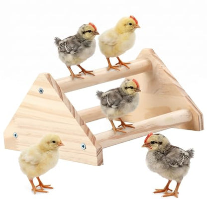Wood Chicken Perch,Strong Pine Wooden Chick Training Perch with 3 Roosting Bar,Gym Perch Toys for Baby Chicks & Parrots,Easy to Assemble
