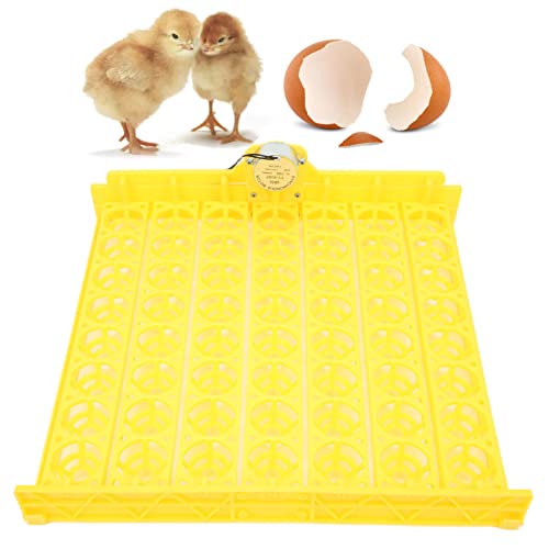 Zerodis Automatic Egg Turner, 110V Swing Around 45 Degrees to Turn The Egg Tray Egg Hatching Tray 56 Eggs Fully Automatic Incubator(Below 110V) - color: Below 110v