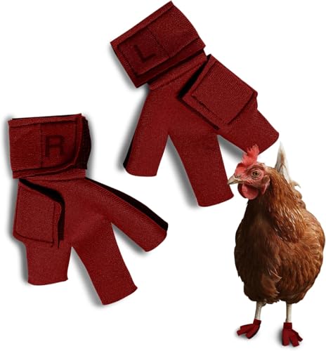 Chicken Shoes for Injured Feet – Protective Neoprene Footwear for Chicken, Open-Toe Design for Bumblefoot Relief, Made in USA (Chicken Shoes, Red, Medium Chickens) - color: Red