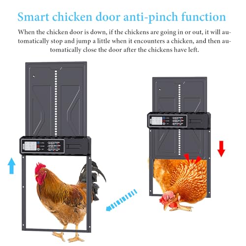 NEONMAN Multi-Mode Chicken Flap, Automatic Chicken Coop Door Solar Powered Automatic Chichken Flap LCD Display Anti-Pinch Safety Suitable for Poultry